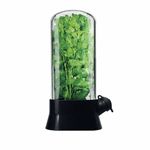 Casa si Gradina - Bucatarie si vesela - Organizare si depozitare bucatarie - Cutii alimentare - Suport pentru Pastrarea Plantelor Proaspete la Frigider cu Capac Transparent, Negru, 27x13 cm - Infinity.ro