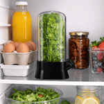 Casa si Gradina - Bucatarie si vesela - Organizare si depozitare bucatarie - Cutii alimentare - Suport pentru Pastrarea Plantelor Proaspete la Frigider cu Capac Transparent, Negru, 27x13 cm - Infinity.ro