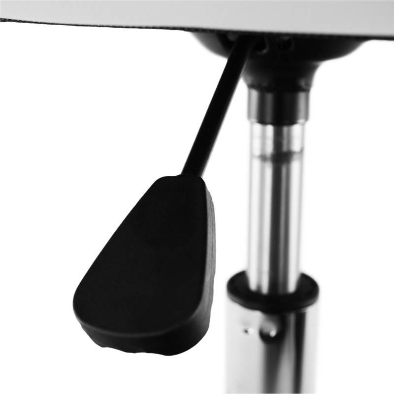 Casa si Gradina - Mobilier - Scaune si fotolii - Scaune - Scaun de birou, alb/crom, ARGUS NEW - Infinity.ro