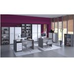 Casa si Gradina - Mobilier - Mese si birouri - Birouri - Masa de birou, grafit/alb, RIOMA NEW TYP 12 - Infinity.ro