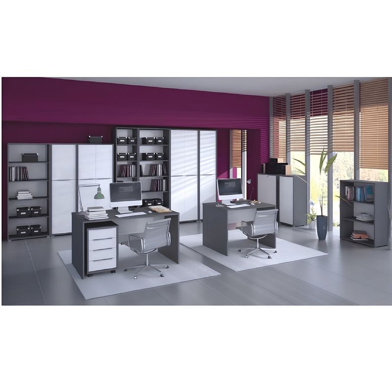 Casa si Gradina - Mobilier - Mese si birouri - Birouri - Masa de birou, grafit/alb, RIOMA NEW TYP 12 - Infinity.ro