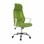 Casa si Gradina - Mobilier - Scaune si fotolii - Fotolii - Fotoliu de birou, verde/alb, TAXIS - Infinity.ro