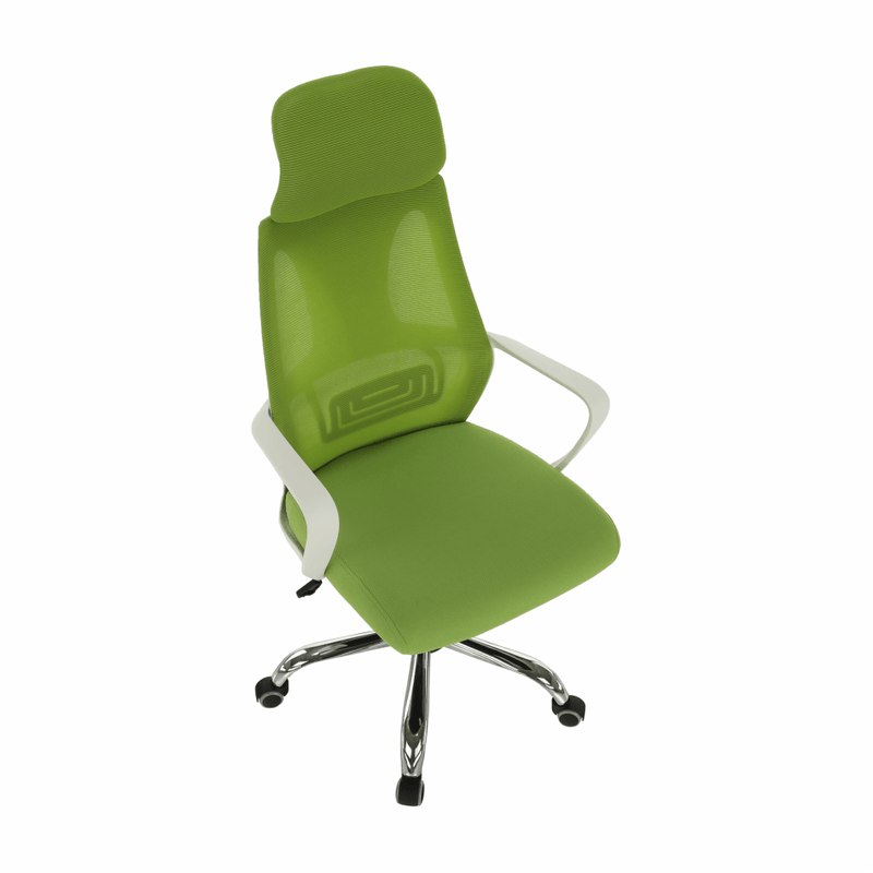 Casa si Gradina - Mobilier - Scaune si fotolii - Fotolii - Fotoliu de birou, verde/alb, TAXIS - Infinity.ro