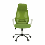 Casa si Gradina - Mobilier - Scaune si fotolii - Fotolii - Fotoliu de birou, verde/alb, TAXIS - Infinity.ro