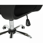 Casa si Gradina - Mobilier - Scaune si fotolii - Scaune - Scaun de birou, plasa verde/tesatura neagra, APOLO - Infinity.ro