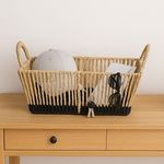 Casa si Gradina - Mobilier - Organizare si depozitare - Cutii depozitare - Cos de depozitare din sfoara bej cu baza neagra si manere, 31x18x17,5 cm - Infinity.ro