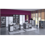 Casa si Gradina - Mobilier - Dulapuri si sifoniere - Dulapuri - Dulap cu rafturi, grafit/alb, RIOMA NEW TYP 07 - Infinity.ro