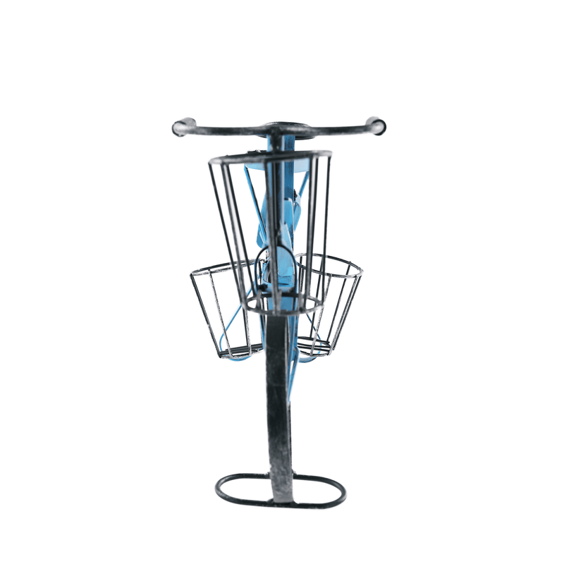 Casa si Gradina - Gradinarit si plante - Plante si ghivece - Ghivece si suporturi - Ghiveci RETRO in forma de bicicleta, negru / albastru, ALBO - Infinity.ro