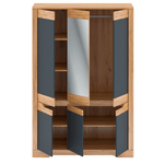 Casa si Gradina - Mobilier - Dulapuri si sifoniere - Dulapuri - Dulap cu spatiu pt. umerase F, gri craft auriu / gri grafit, FIDEL - Infinity.ro