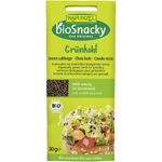 Market - Bacanie - Produse bio - Seminte de kale pentru germinat, eco - Infinity.ro