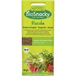 Market - Bacanie - Produse bio - Seminte de rucola pentru germinat, eco - Infinity.ro