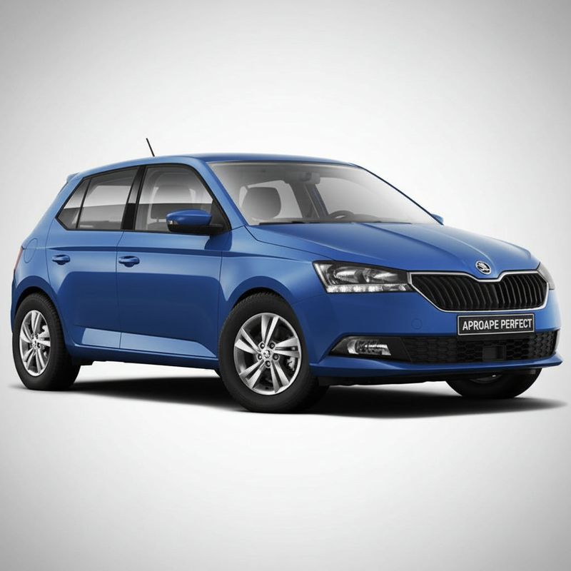 Auto si Moto - Intretinere auto - Stergatoare - Capac Brat Stergator Luneta pentru Skoda Fabia III - Infinity.ro