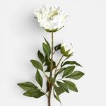 Casa si Gradina - Decoratiuni - Obiecte decorative - Plante artificiale - Floare Artificiala Bujor Alb 94cm - Infinity.ro