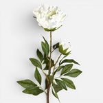 Casa si Gradina - Decoratiuni - Obiecte decorative - Plante artificiale - Floare Artificiala Bujor Alb 94cm - Infinity.ro