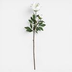 Casa si Gradina - Decoratiuni - Obiecte decorative - Plante artificiale - Floare Artificiala Bujor Alb 94cm - Infinity.ro