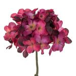 Casa si Gradina - Decoratiuni - Obiecte decorative - Plante artificiale - Floare artificiala Hortensie Rosie, 24 cm - Infinity.ro