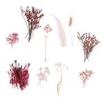 Casa si Gradina - Decoratiuni - Obiecte decorative - Plante artificiale - Flori Uscate Roz Fucsia pentru Creatii, 20g - Infinity.ro