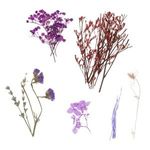 Casa si Gradina - Decoratiuni - Obiecte decorative - Plante artificiale - Flori Uscate Mov Lila pentru Proiecte DIY - Infinity.ro