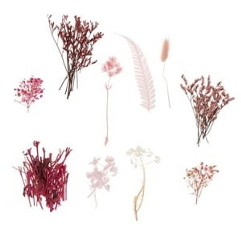 Casa si Gradina - Decoratiuni - Obiecte decorative - Plante artificiale - Flori Uscate Roz Fucsia pentru Creatii, 20g - Infinity.ro