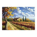 Jucarii, Copii si Bebe - Jucarii si jocuri - Jocuri si puzzle - Puzzle - Puzzle 500 piese Dino Toys - Peisaj de Toamna, Podgorie Toscana, 47x33 cm - Infinity.ro