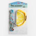 Petshop - Accesorii petshop - Zgarzi, lese si hamuri - Hamuri - Lesa pentru caini cu suport pentru pungi, Turcoaz, 120x2cm - Infinity.ro