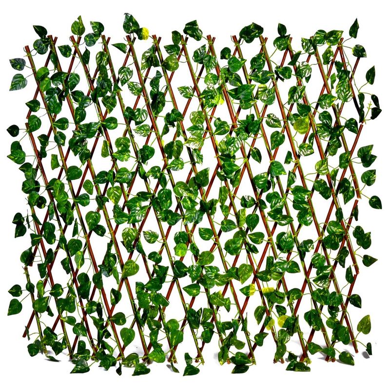Casa si Gradina - Decoratiuni - Pereti despartitori si paravane - Paravan Decorativ din Lemn cu Frunze Verde 60x180cm - Infinity.ro