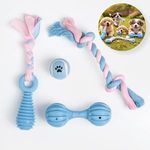 Jucarii, Copii si Bebe - Jucarii si jocuri - Jucarii bebelusi - Jucarii pentru dentitie - Set Jucarii pentru Catei, 4 buc, Albastru Deschis, TPR, Cu Sunet - Infinity.ro
