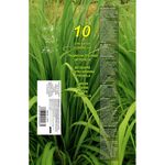 Market - Curatenie si intretinere casa - Produse menaj - Insecticide si capcane - Betisoare cu Citronella Anti Insecte, 10 buc, 51 cm - Infinity.ro