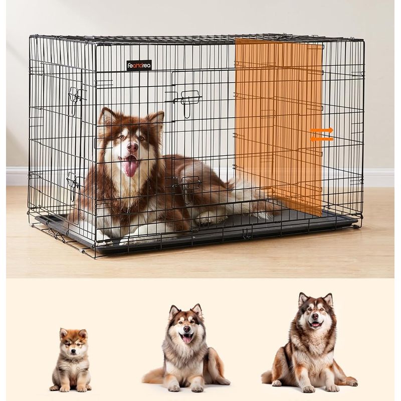 Petshop - Accesorii petshop - Culcusuri si custi - Custi interior si exterior - Cusca pentru animale, 2 usi, perete separator, pliabila din metal, XXL, 122x75x81cm, negru - Infinity.ro