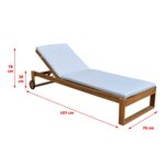 Casa si Gradina - Gradina si terasa - Mobilier exterior - Scaune si sezlonguri gradina - Sezlong de gradina cu perna, lemn de salcam, 197x76x30 cm, maro - Infinity.ro