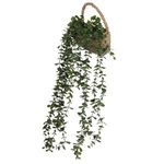 Casa si Gradina - Decoratiuni - Obiecte decorative - Plante artificiale - Ghiveci decorativ suspendat cu planta artificiala curgatoare, 60cm, verde - Infinity.ro