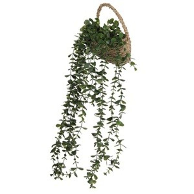 Casa si Gradina - Decoratiuni - Obiecte decorative - Plante artificiale - Ghiveci decorativ suspendat cu planta artificiala curgatoare, 60cm, verde - Infinity.ro