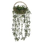Casa si Gradina - Decoratiuni - Obiecte decorative - Plante artificiale - Ghiveci decorativ suspendat cu planta artificiala curgatoare, 60cm, verde - Infinity.ro