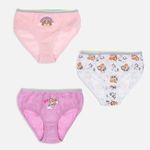 Fashion, accesorii si bijuterii - Copii - Lenjerie si pijamale copii - Lenjerie intima copii - Set Chiloti Colorate Paw Patrol pentru Copii - 3 perechi - Infinity.ro
