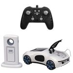 Jucarii, Copii si Bebe - Jucarii si jocuri - Vehicule si jucarii cu telecomanda - Masinute - Masina electrica de curse cu telecomanda, 1:16, cu lumini si efect de fum, alba - Infinity.ro