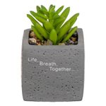 Casa si Gradina - Decoratiuni - Obiecte decorative - Plante artificiale - Ghiveci Decorativ din Ciment cu Planta Artificiala & Pietricele, 6x6x9cm - Infinity.ro