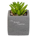 Casa si Gradina - Decoratiuni - Obiecte decorative - Plante artificiale - Ghiveci Decorativ din Ciment cu Planta Artificiala & Pietricele, 6x6x9cm - Infinity.ro