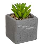 Casa si Gradina - Decoratiuni - Obiecte decorative - Plante artificiale - Ghiveci Decorativ din Ciment cu Planta Artificiala & Pietricele, 6x6x9cm - Infinity.ro