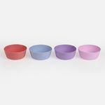 Casa si Gradina - Gradina si terasa - Gratare si accesorii - Cosuri picnic - Set 4 Boluri din Plastic, 350 ml, Culori Diverse - Infinity.ro