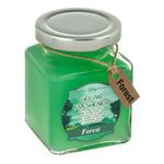Casa si Gradina - Decoratiuni - Aromaterapie si lumanari - Odorizante camera - Odorizant de camera cu gel, Aroma Forest, 200g, Recipient din sticla, Verde - Infinity.ro