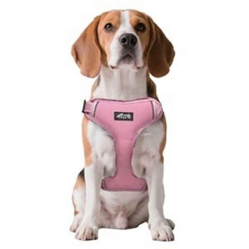 Petshop - Accesorii petshop - Zgarzi, lese si hamuri - Hamuri - Ham pentru caini, Roz, cu Detalii Reflectorizante, Reglabil - Infinity.ro