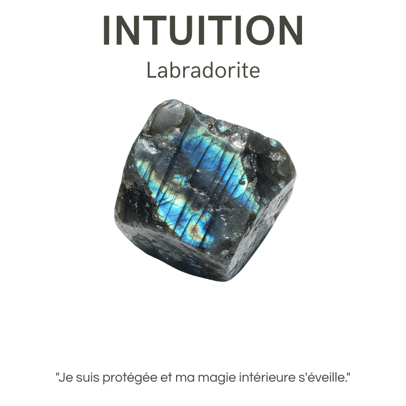 Fashion, accesorii si bijuterii - Femei - Bijuterii femei - Cercei femei - Cercei cu labradorit Pipa - O bijuterie a protectiei si a intuitiei active, otel inoxidabil - Infinity.ro