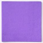 Market - Curatenie si intretinere casa - Produse bucatarie - Prosoape de hartie si servetele - Servetele de masa mov, 2 straturi, 33x33cm, 20 buc - Infinity.ro
