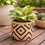 Casa si Gradina - Gradinarit si plante - Plante si ghivece - Accesorii ghivece si jardiniere - Masca Ghiveci Flori Ceramica Bej cu Detalii Negre - Infinity.ro