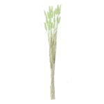 Casa si Gradina - Decoratiuni - Obiecte decorative - Plante artificiale - Ramuri Decorative Coada Iepurelui Verde Menta 60cm - Infinity.ro