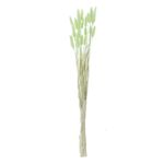 Casa si Gradina - Decoratiuni - Obiecte decorative - Plante artificiale - Ramuri Decorative Coada Iepurelui Verde Menta 60cm - Infinity.ro