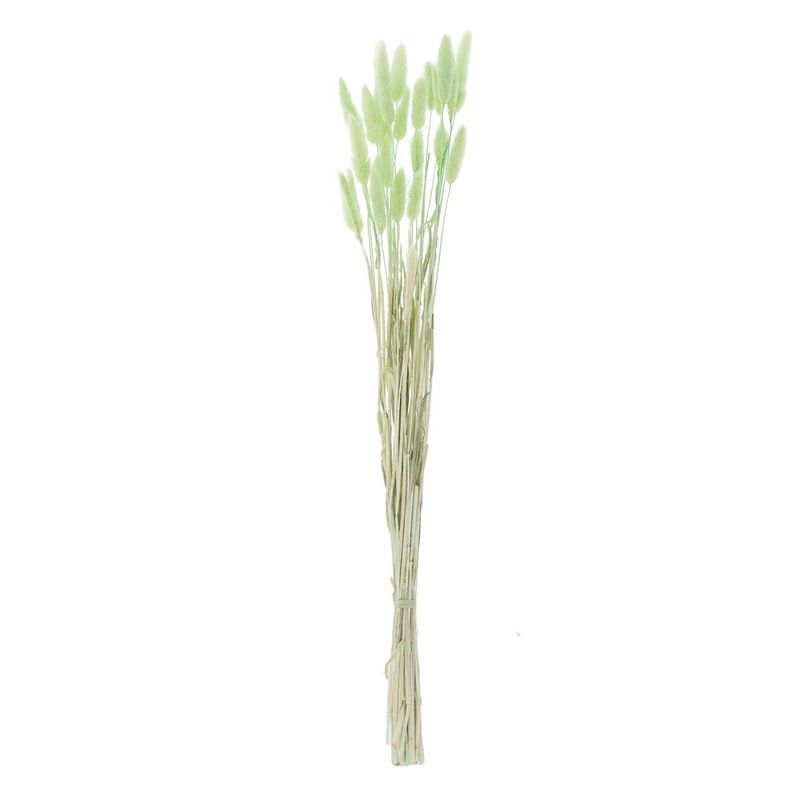 Casa si Gradina - Decoratiuni - Obiecte decorative - Plante artificiale - Ramuri Decorative Coada Iepurelui Verde Menta 60cm - Infinity.ro