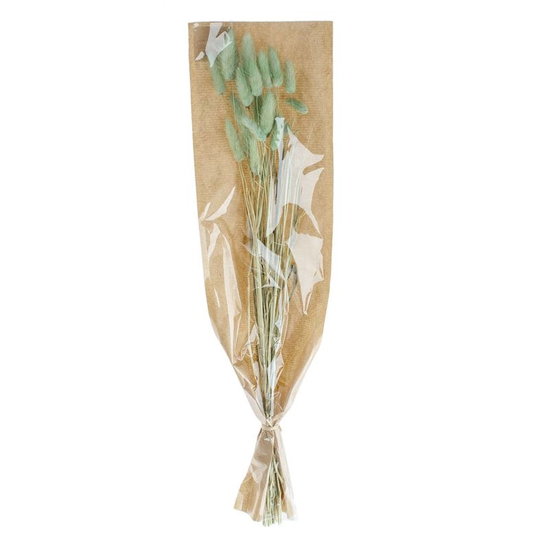 Casa si Gradina - Decoratiuni - Obiecte decorative - Plante artificiale - Ramuri Decorative Coada Iepurelui Verde Menta 60cm - Infinity.ro