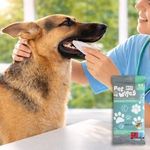 Petshop - Ingrijire si Igiena - Produse uz intern - Igiena dentara animale - Servetele umede pentru igiena orala a cainilor si pisicilor, 20 buc - Infinity.ro