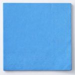 Market - Curatenie si intretinere casa - Produse bucatarie - Prosoape de hartie si servetele - Servetele de masa cu 2 straturi, Bleu, 33x33cm, 20 buc - Infinity.ro